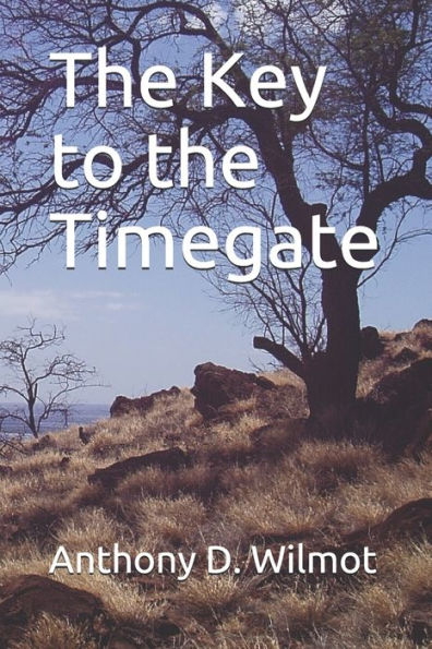 The Key To The Timegate (Starship Pirate Women Chronicles)