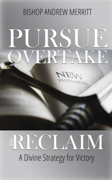 Pursue, Overtake, And Reclaim: A Divine Strategy For Victory