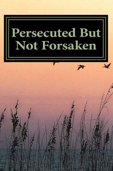 Persecuted But Not Forsaken: My Life As A U.S. Mk-Ultra Program Victim