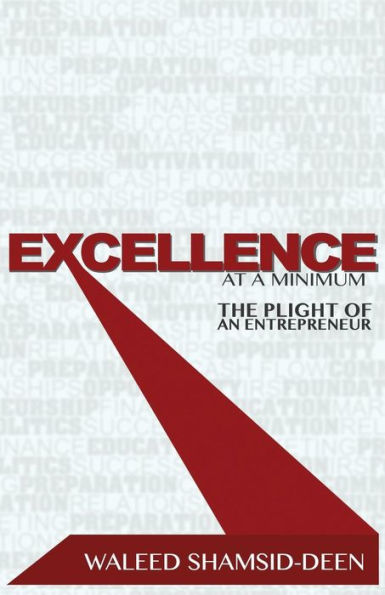 Excellence At A Minimum: The Plight Of An Entreprenuer