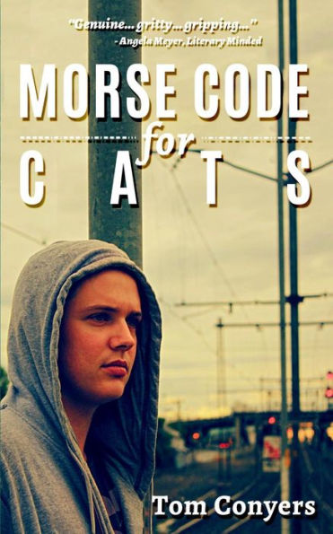Morse Code For Cats