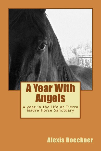 A Year With Angels: A Year In The Life At Tierra Madre Horse Sanctuary