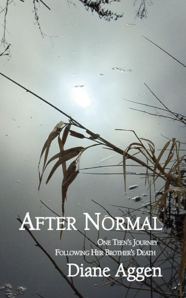 After Normal: One Teen'S Journey Following Her Younger Brother'S Death