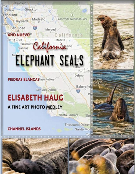California Elephant Seals
