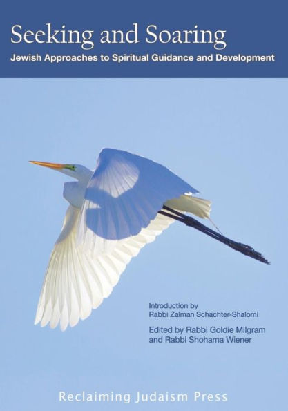 Seeking And Soaring:: Jewish Approaches To Spiritual Guidance And Development