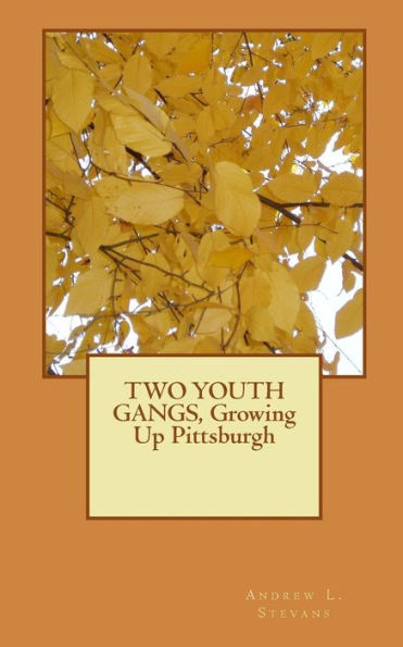 Two Youth Gangs, Growing Up Pittsburgh