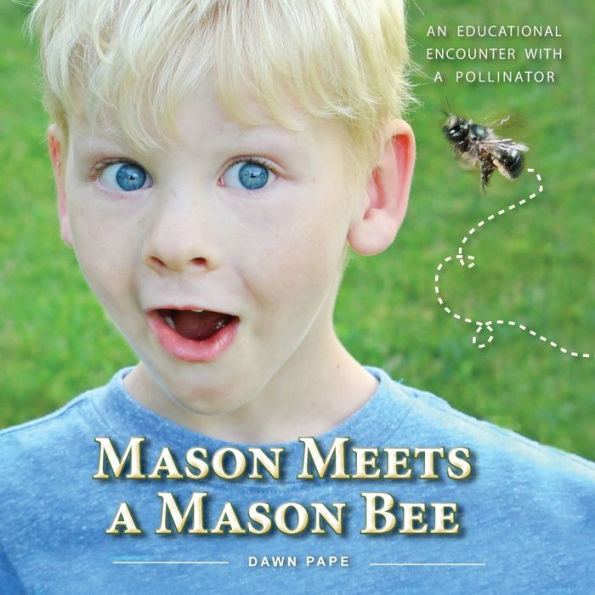 Mason Meets A Mason Bee: An Educational Encounter With A Pollinator