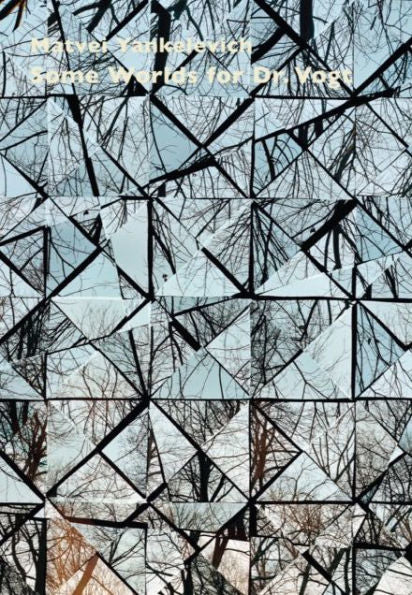 Some Worlds For Dr. Vogt