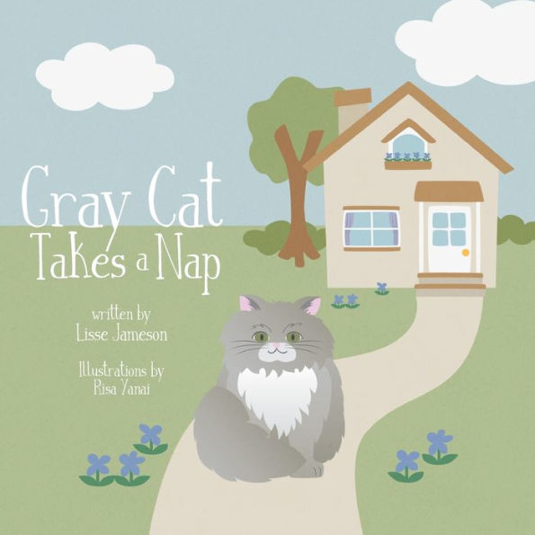Gray Cat Takes A Nap