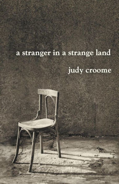 A Stranger In A Strange Land