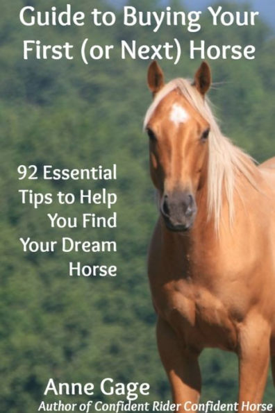 Guide To Buying Your First (Or Next) Horse