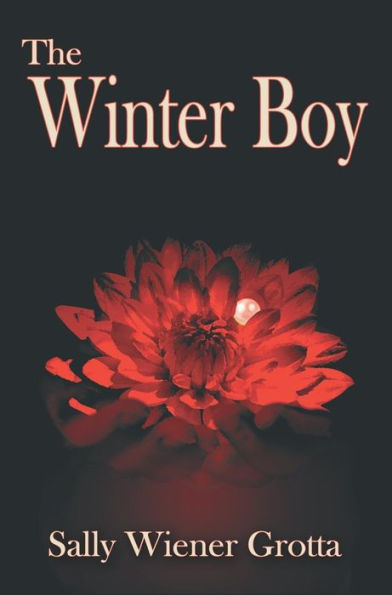The Winter Boy