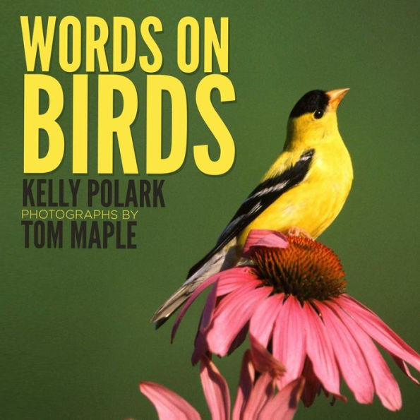 Words On Birds