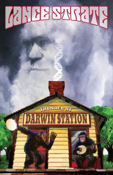 Thunder At Darwin Station