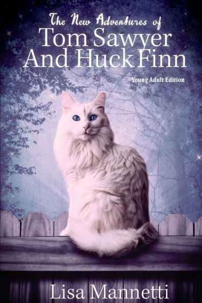 The New Adventures Of Tom Sawyer And Huck Finn (Young Adult Version): (Young Adult Edition)