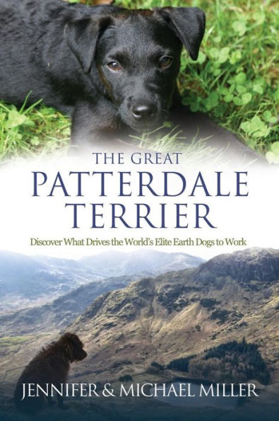 The Great Patterdale Terrier