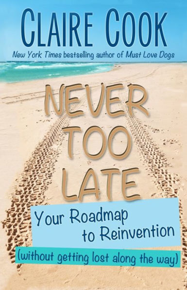 Never Too Late: Your Roadmap To Reinvention (Without Getting Lost Along The Way) (It'S Never Too Late To Shine On)