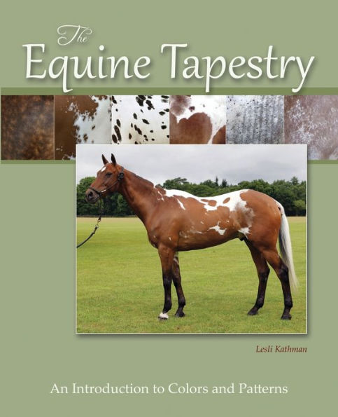The Equine Tapestry: An Introduction To Colors And Patterns