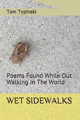 WET SIDEWALKS: Poems Found While Out Walking In The World (Twenty Two)