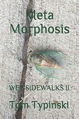 Meta Morphosis: Wet Sidewalks Two (Twenty Two)