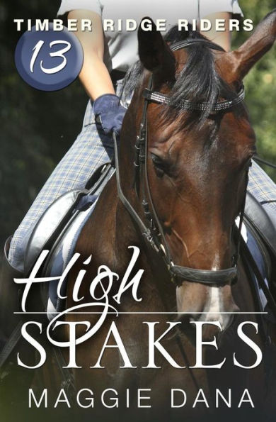 High Stakes (Timber Ridge Riders)