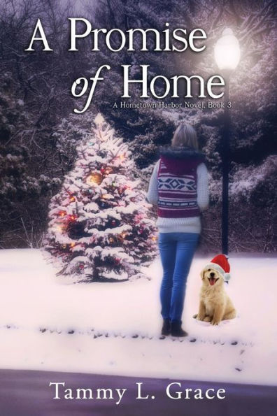 A Promise Of Home: A Hometown Harbor Novel (Hometown Harbor Series)