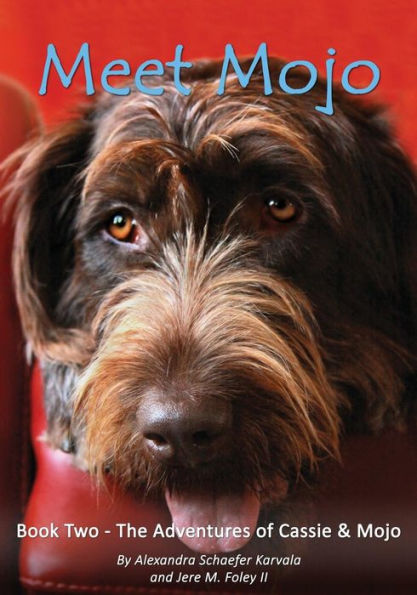 Meet Mojo (The Adventures Of Cassie & Mojo)