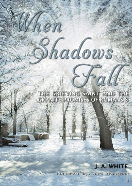 When Shadows Fall: The Grieving Saint And The Granite Promises Of Romans 8