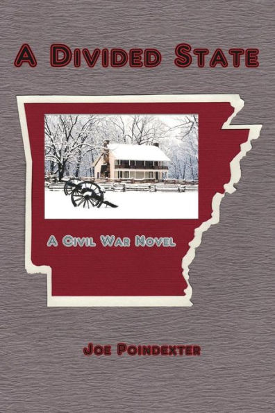 A Divided State: A Civil War Novel