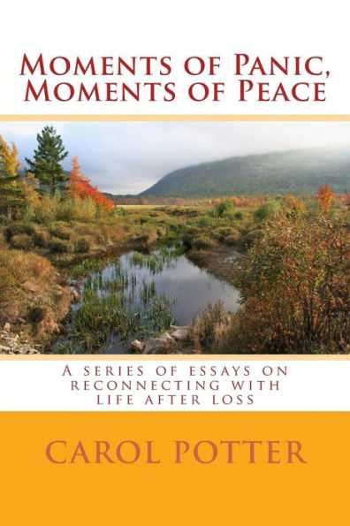 Moments Of Panic, Moments Of Peace: A Series Of Essays On Reconnecting With Life After Loss