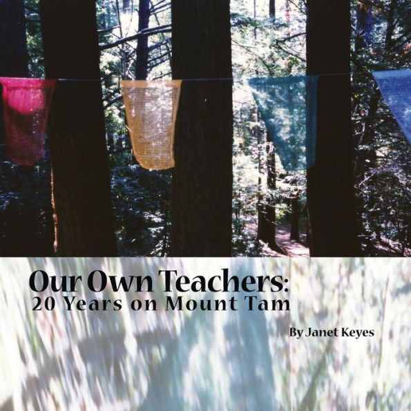 Our Own Teachers: Twenty Years On Mt. Tam (Twenty Years On The Mt. Tam Women'S Retreat)