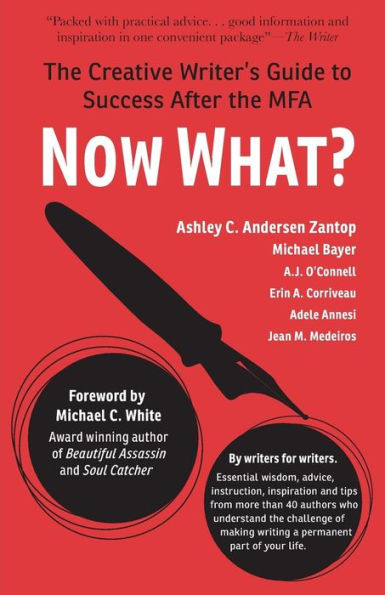 Now What?: The Creative Writer'S Guide To Success After The Mfa