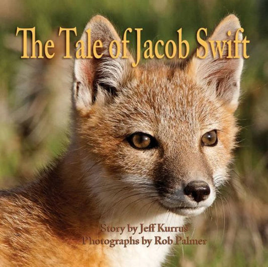 The Tale Of Jacob Swift