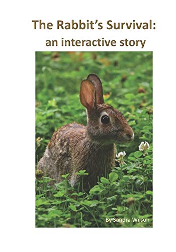 The Rabbit?Æs Survival: an interactive story