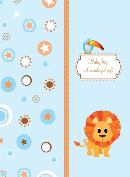 Baby Boy - A Wonderful Gift