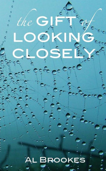 The Gift Of Looking Closely