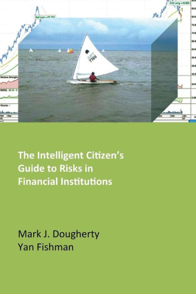 The Intelligent Citizen'S Guide To Risks In Financial Institutions