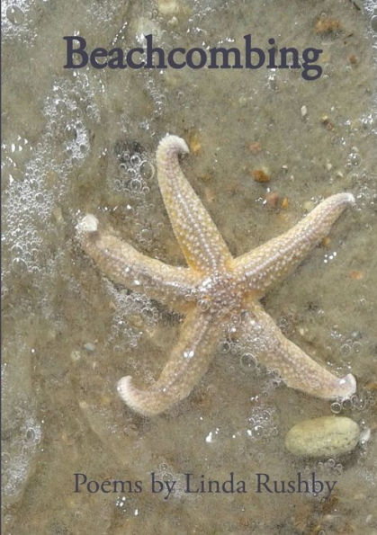 Beachcombing - 9780992904814