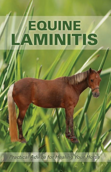 Equine Laminitis