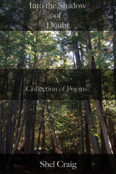 Into The Shadow Of Doubt: A Collection Of Poems