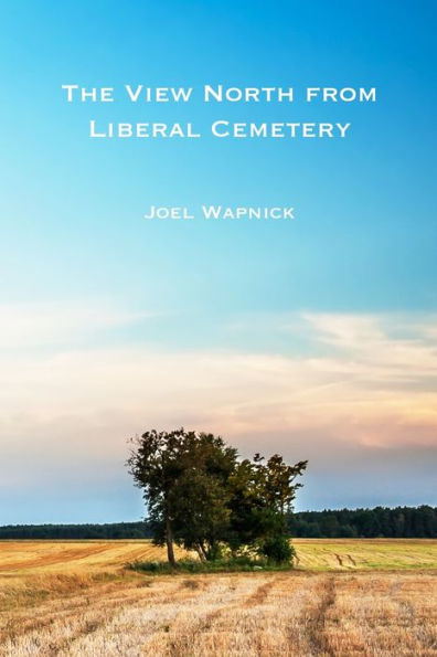 The View North From Liberal Cemetery