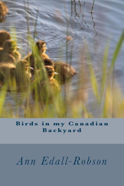 Birds In My Canadian Backyard