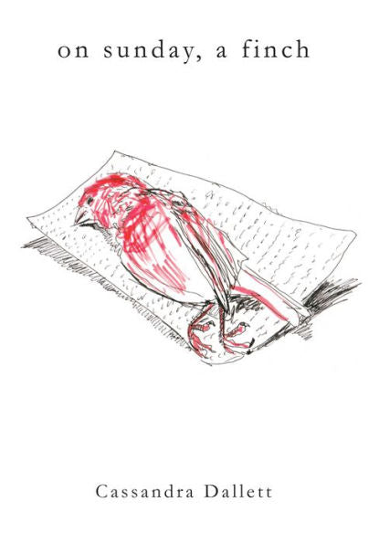 On Sunday, A Finch