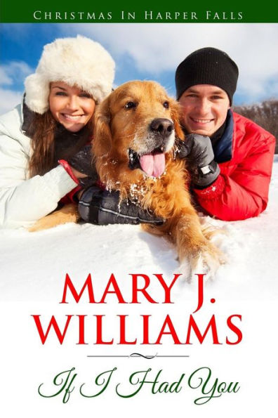 If I Had You (Harper Falls Book 1)