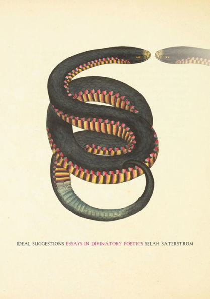 Ideal Suggestions: Essays In Divinatory Poetics