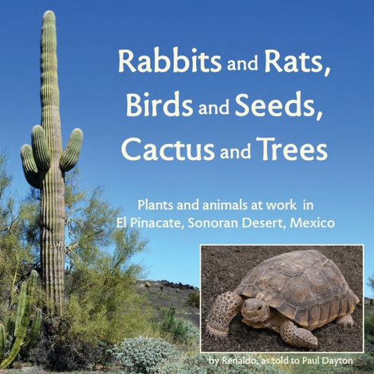 Rabbits And Rats, Birds And Seeds, Cactus And Trees: Plants And Animals At Work In El Pinacate, Sonoran Desert, Mexico