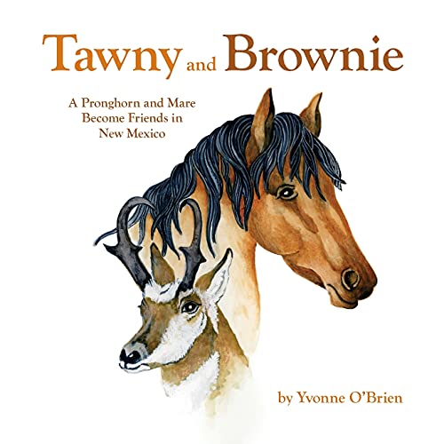 Tawny And Brownie: A Pronghorn And Mare Become Friends In New Mexico
