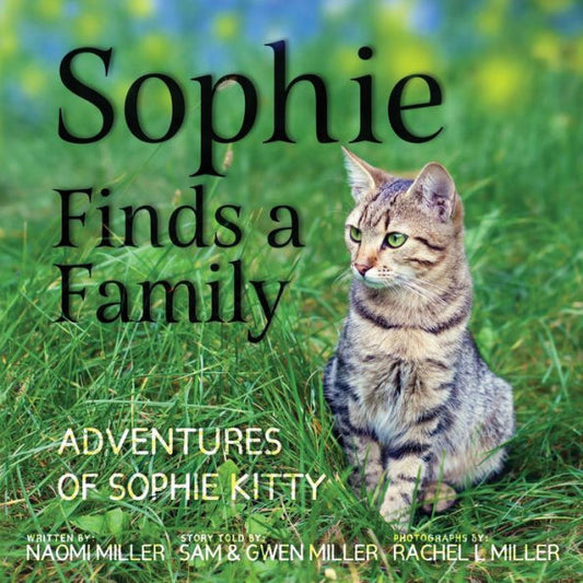 Sophie Finds A Family (1) (Adventures Of Sophie Kitty)