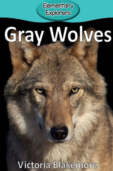 Gray Wolves (1) (Elementary Explorers)