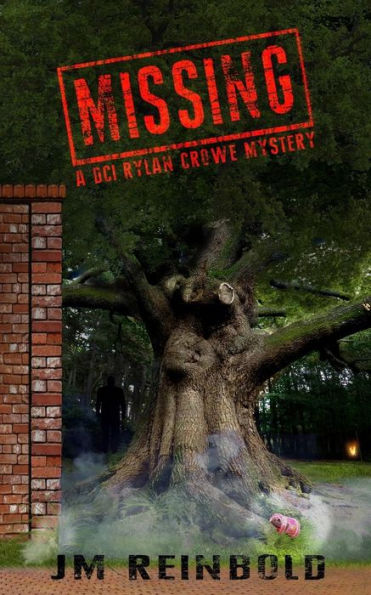 Missing: A Dci Rylan Crowe Mystery (The Dci Rylan Crowe Mystery Series)